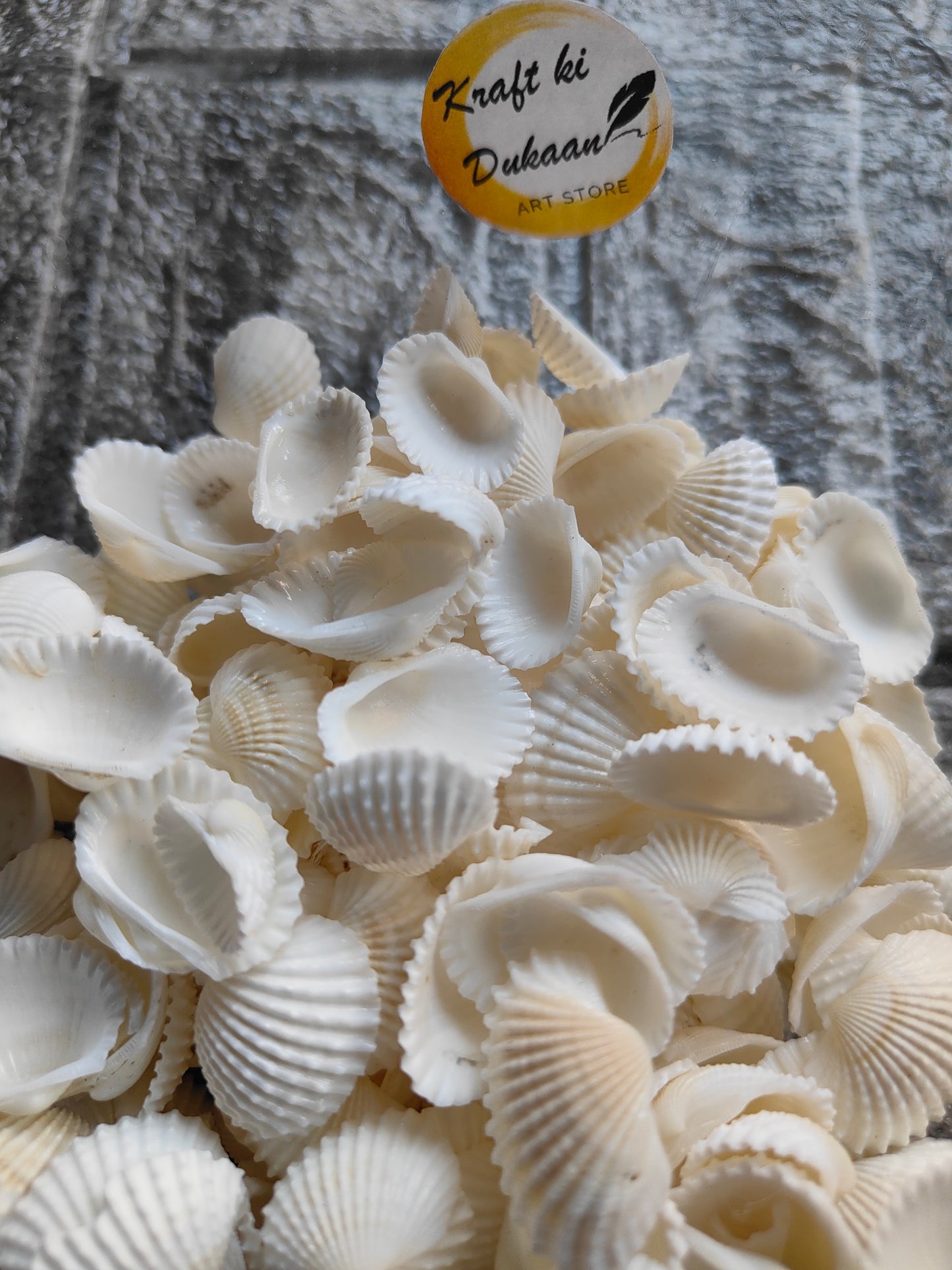 Sea Shell A1 - Kraft ki Dukaan