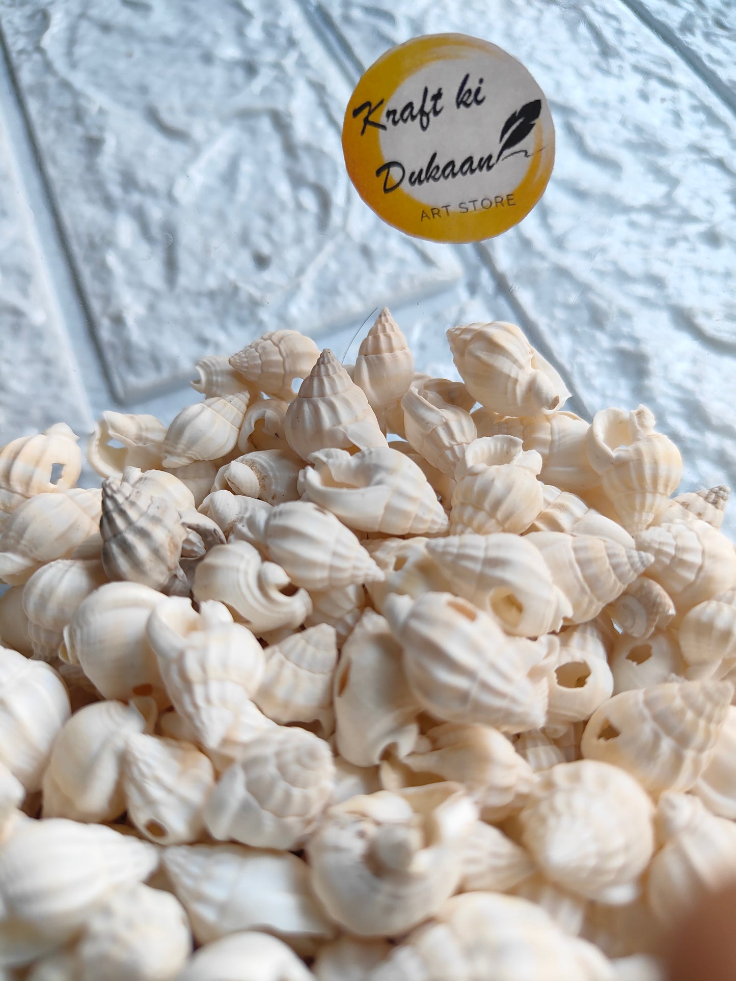 Sea Shell Pack of 50 A4 - Kraft ki Dukaan