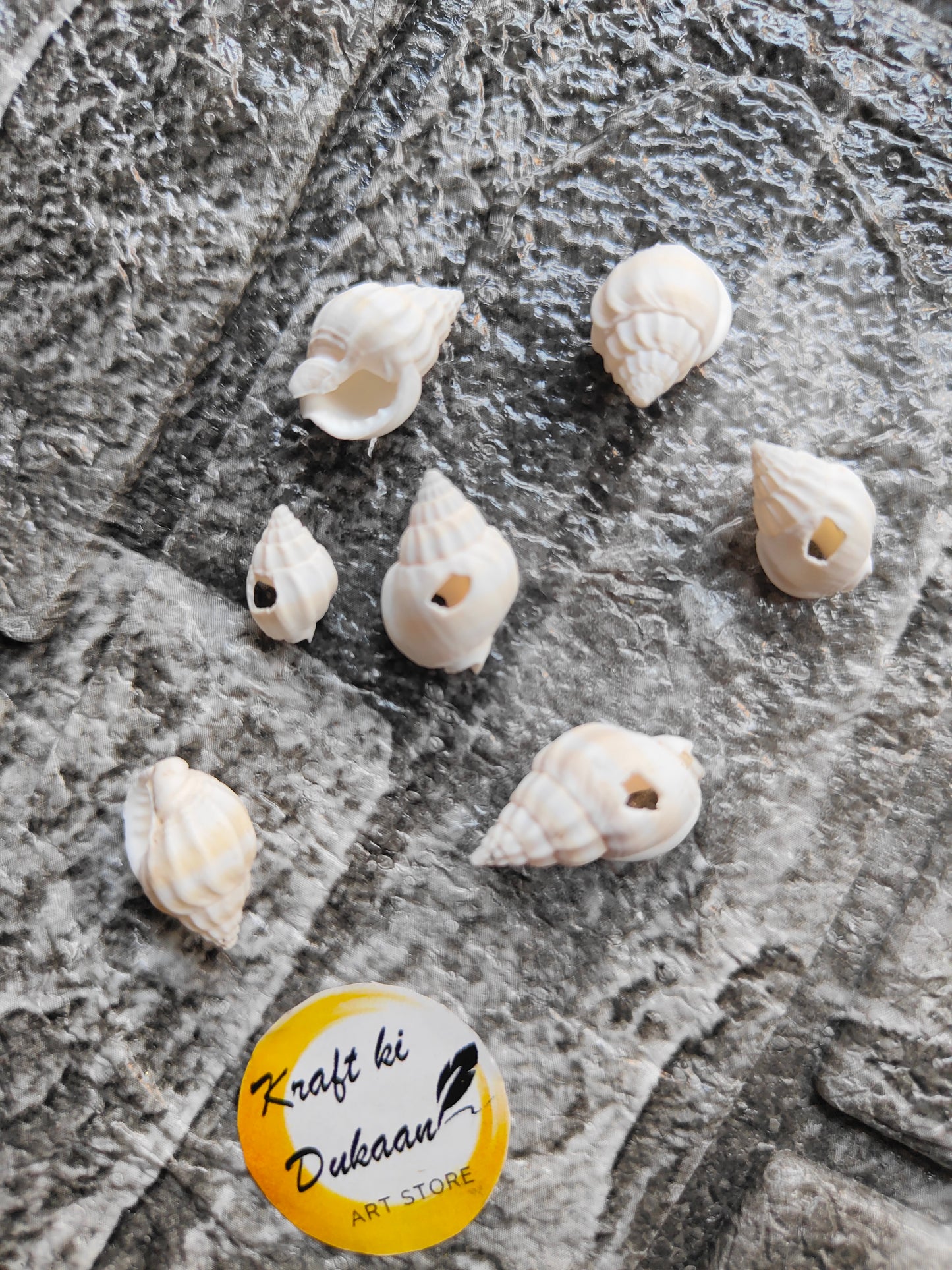 Sea Shell Pack of 50 A4 - Kraft ki Dukaan