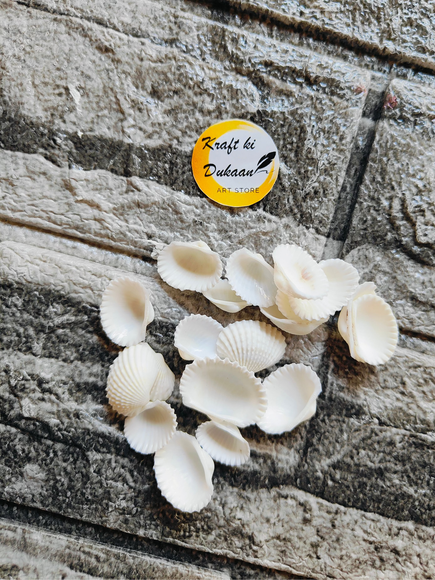 Sea Shell A1 - Kraft ki Dukaan