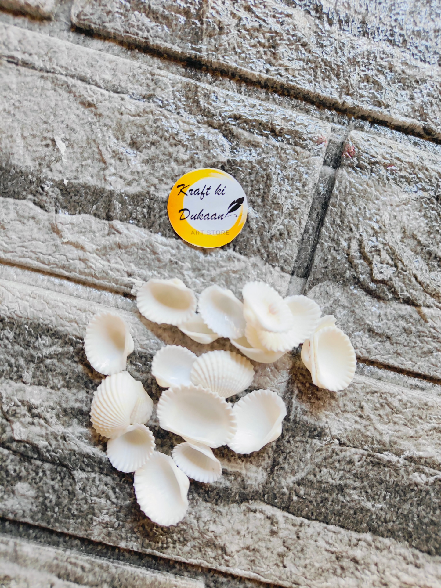 Sea Shell A1 - Kraft ki Dukaan
