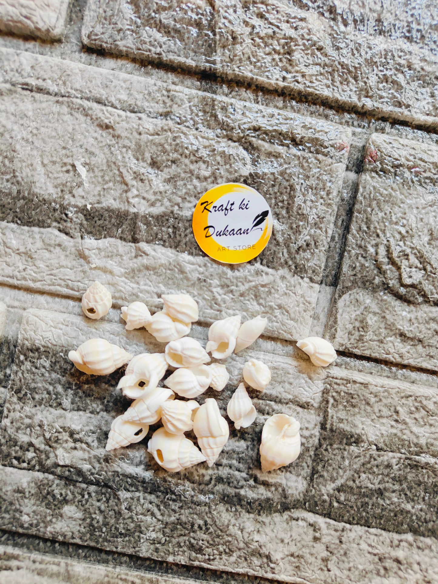 Sea Shell Pack of 50 A4 - Kraft ki Dukaan