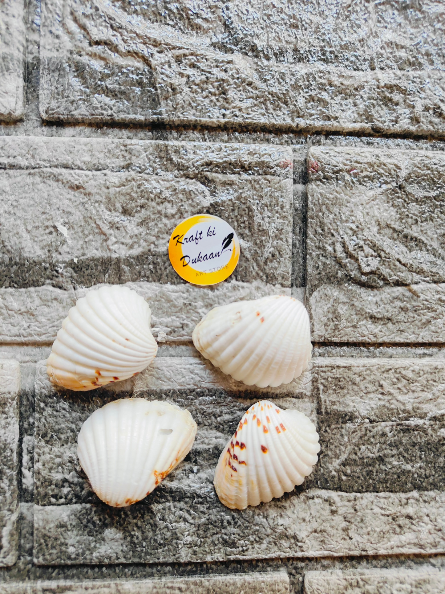 Sea Shell A10 - Kraft ki Dukaan