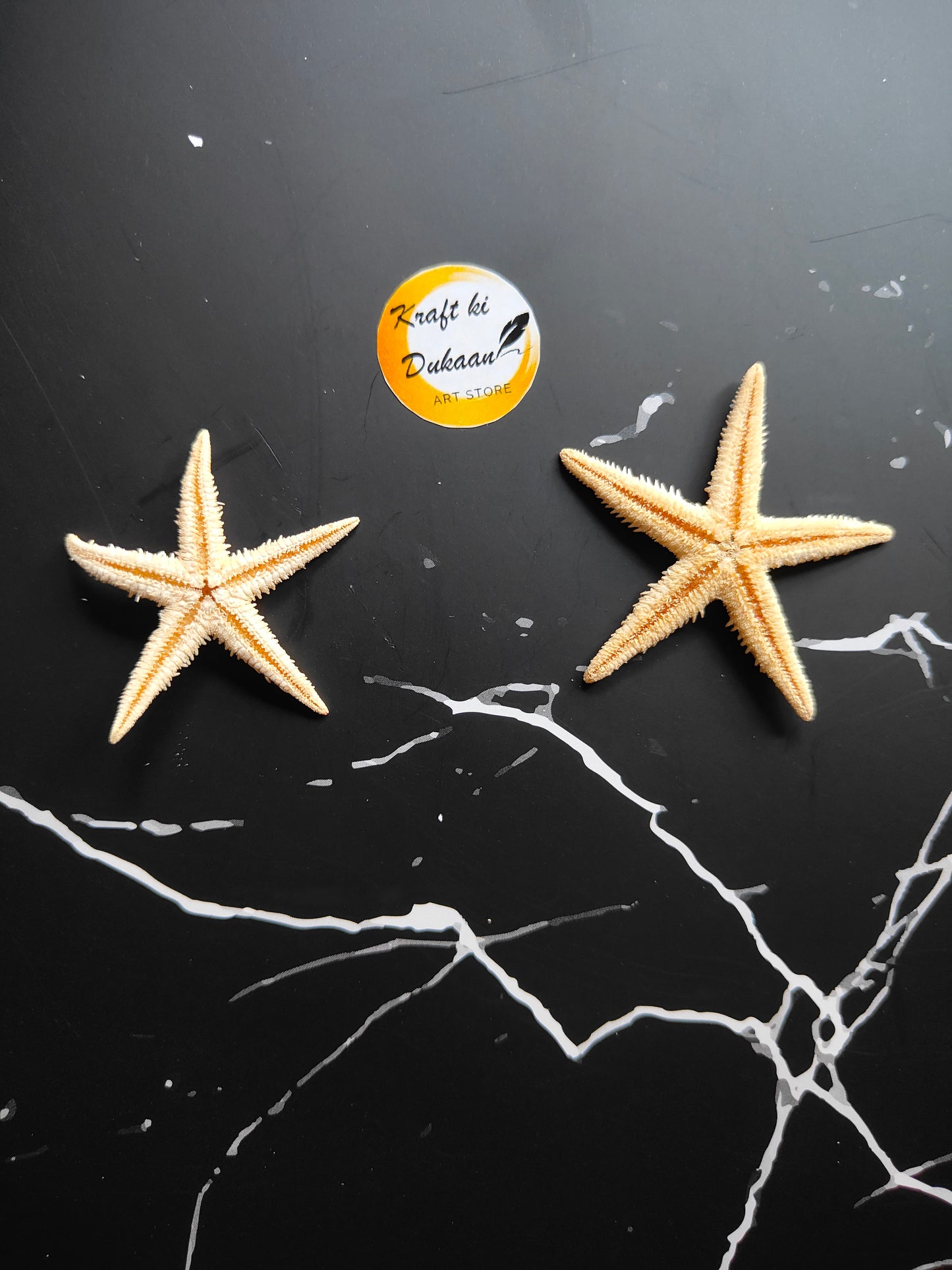 Star Fish 10PC Box - Kraft ki Dukaan