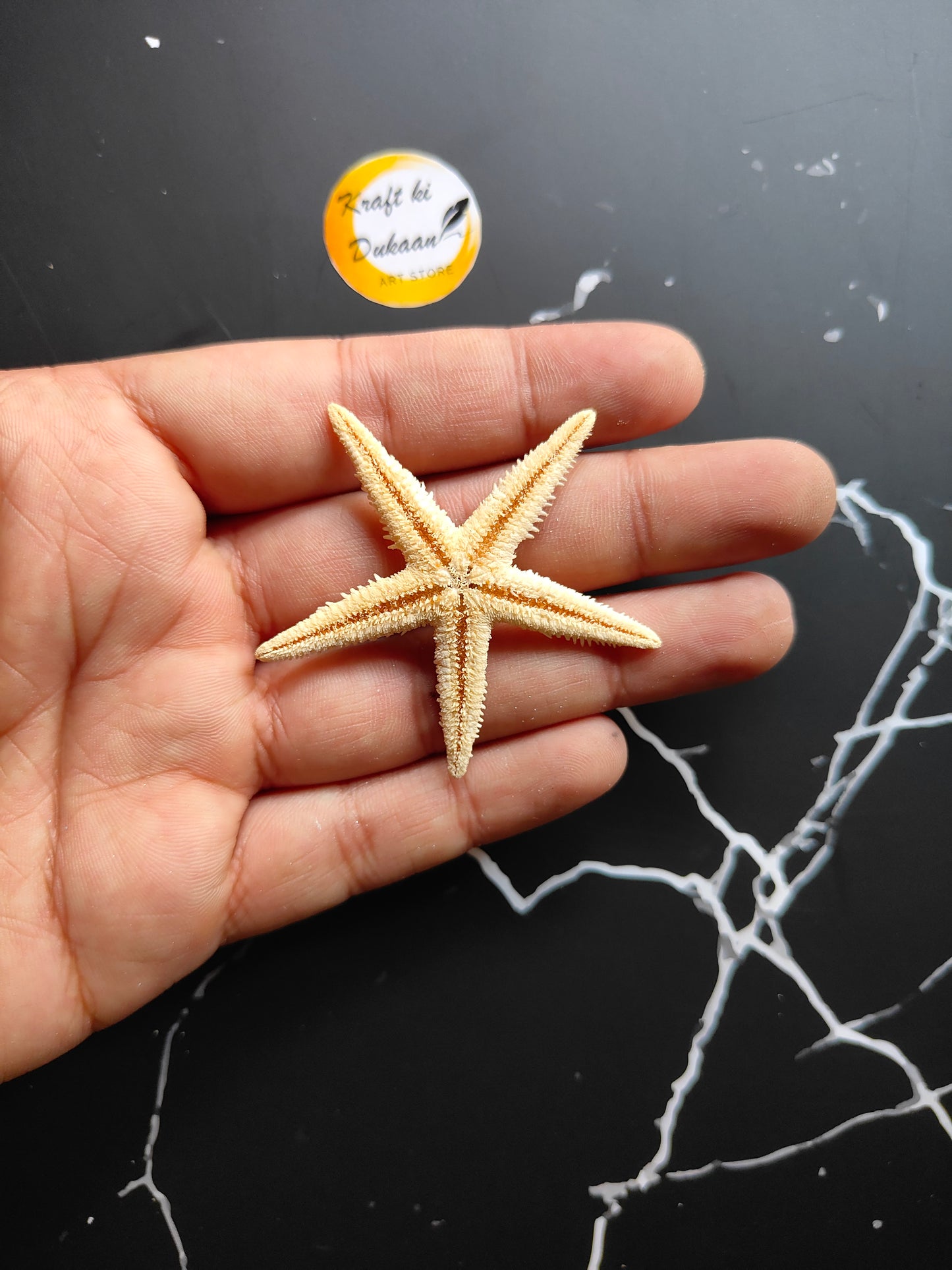 Star Fish 10PC Box - Kraft ki Dukaan