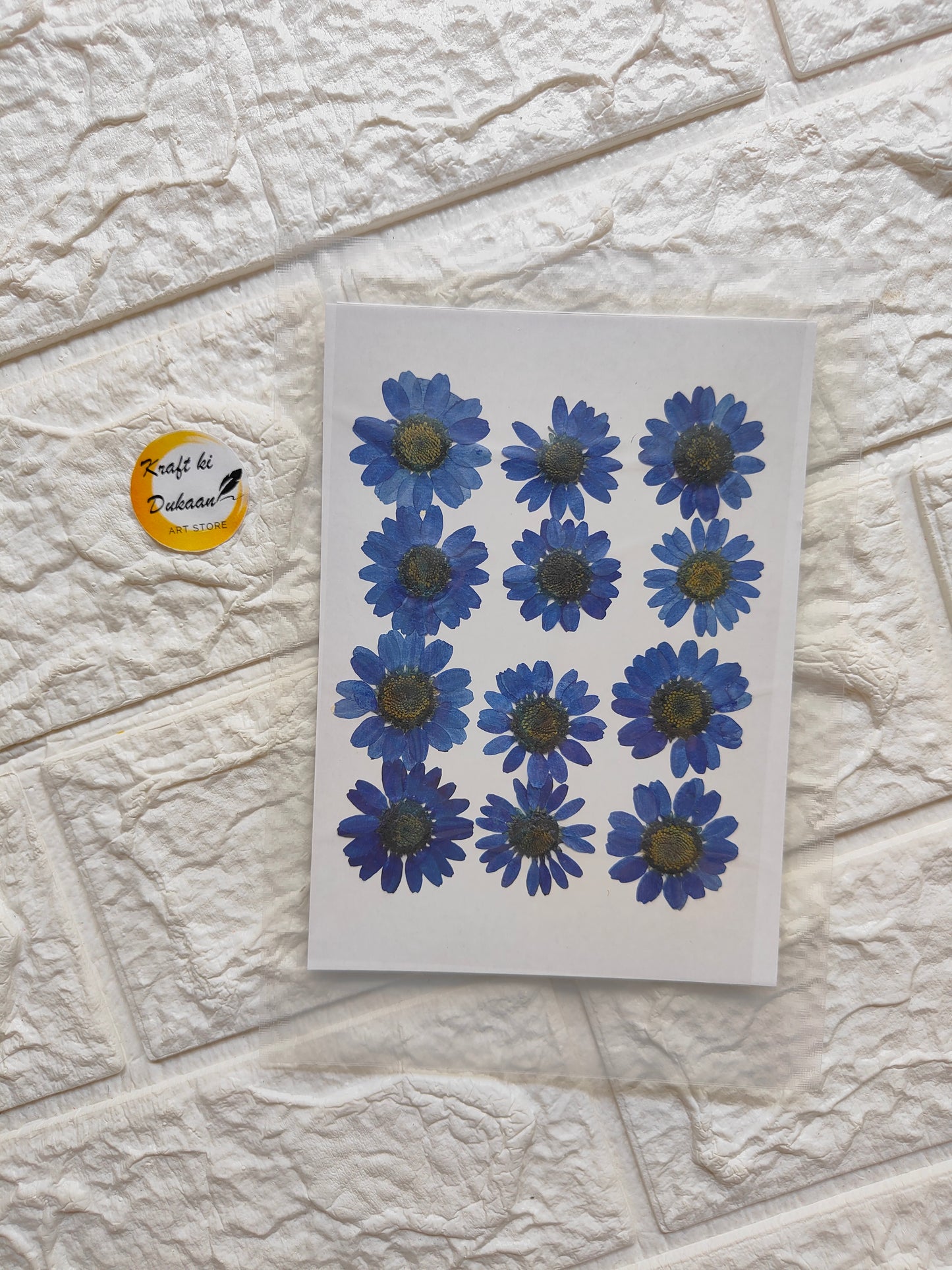 Daisy Pressed Flower Sheet - Kraft ki Dukaan