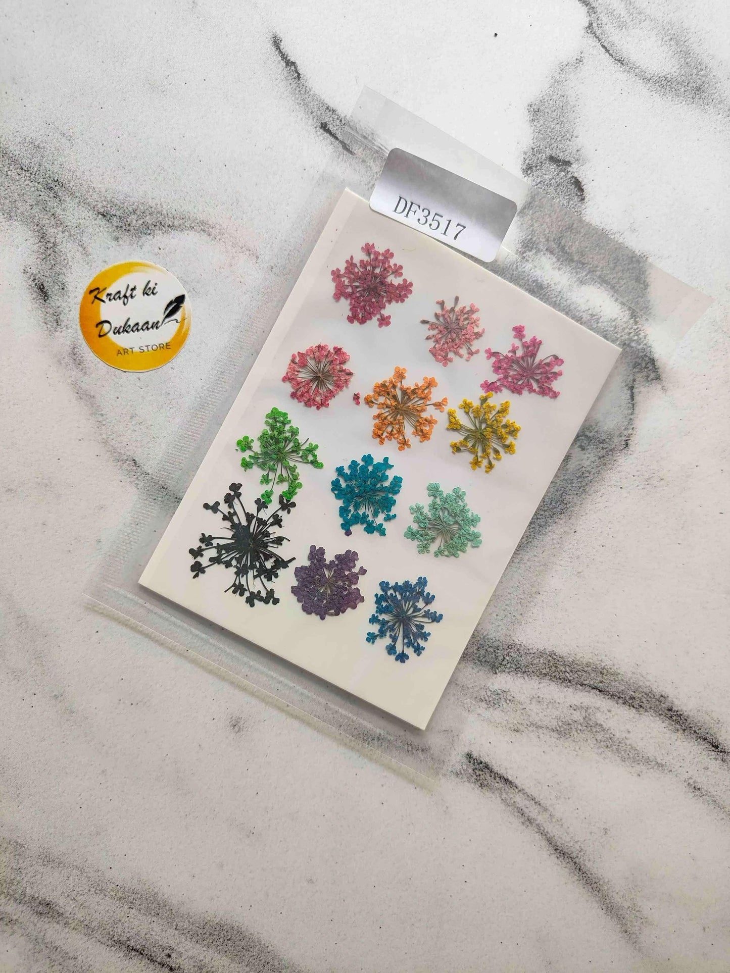 12PC multi pressed flowers, mixed colors arranged on a clear backing card