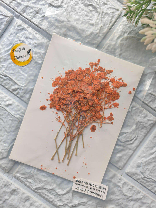 Baby Breath pressed flower set with orange dried blooms on white card