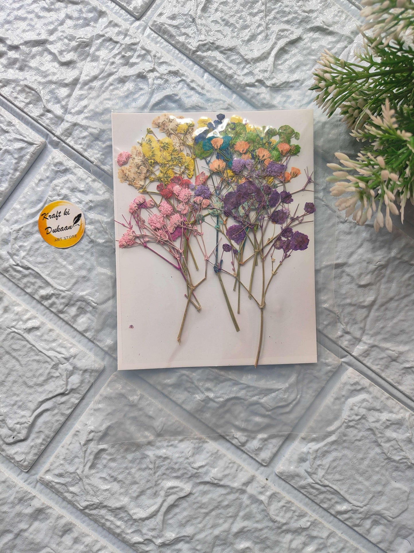Baby Breath pressed flower multi A2 paper card with mixed dried blossoms, flat lay