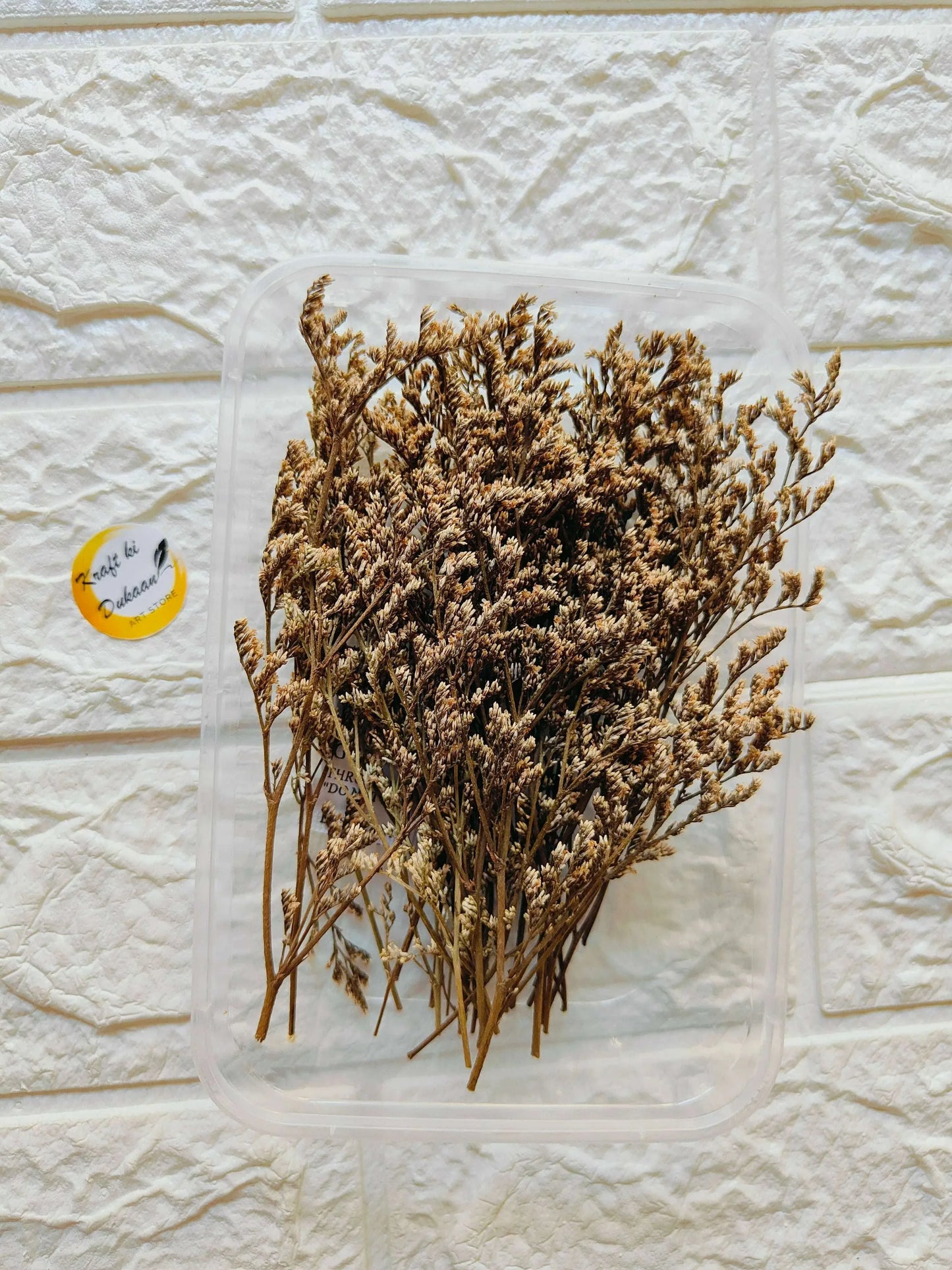 Dry Flower Box A1 with dried brown sprigs in a clear plastic case