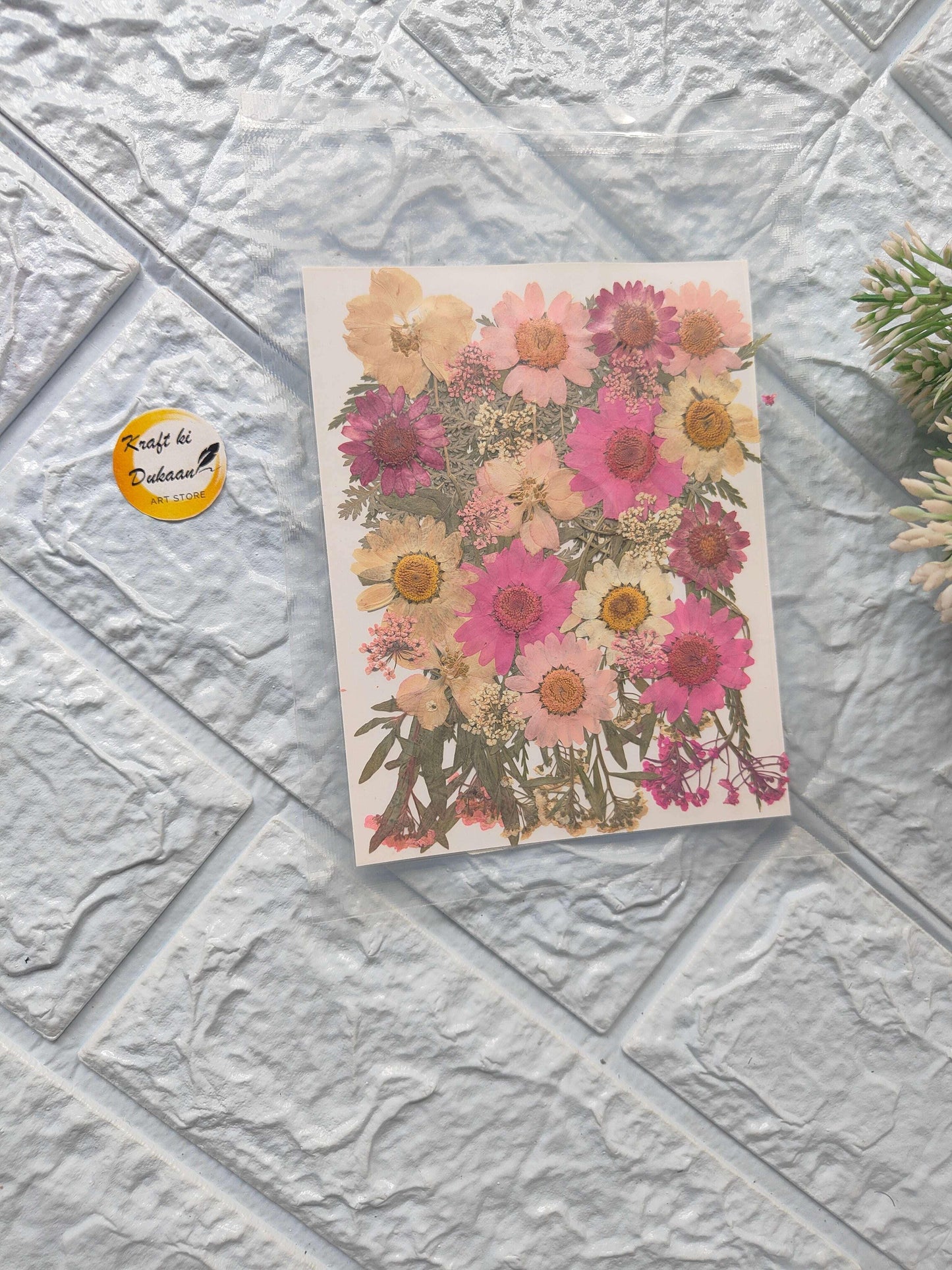 Compressed flower sheet mix (A6) with assorted pink, purple, and beige blooms collage