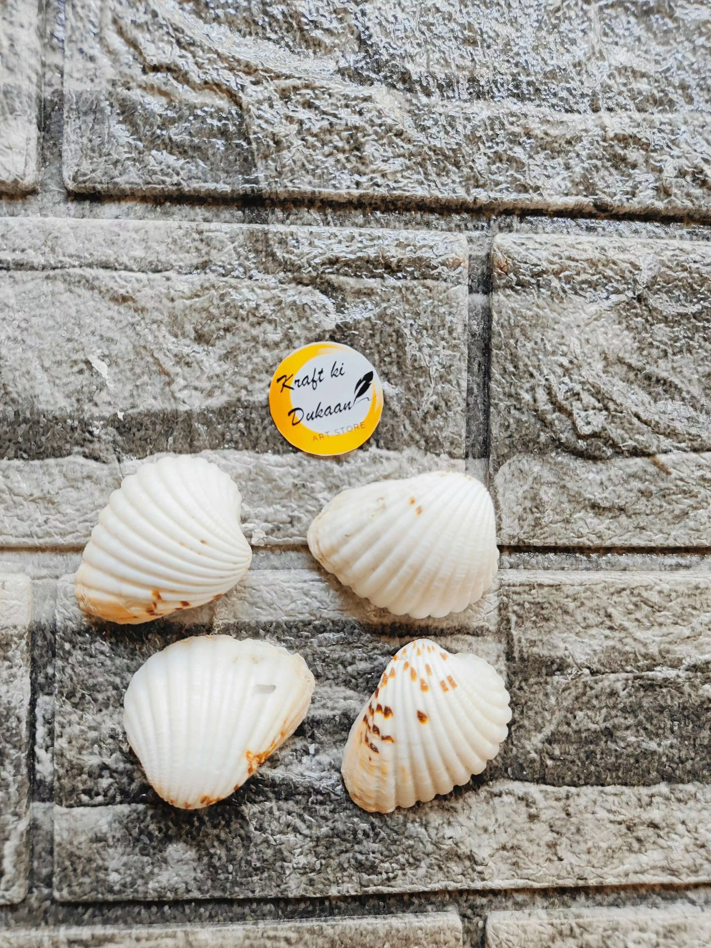 craft-ki-dukaan-sea-shell-for-resin-art-1