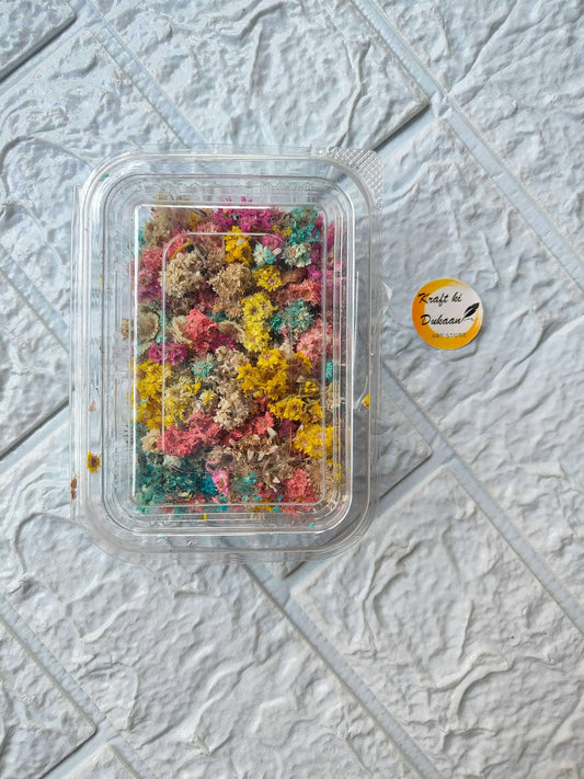 himalayan-dry-daisy-flowers-for-resin-art-colorful-flower-petal-pack