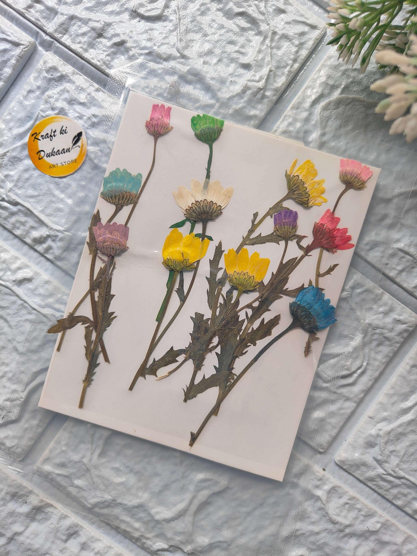 Pressed flower sheet with multiple colorful blooms on a white sheet