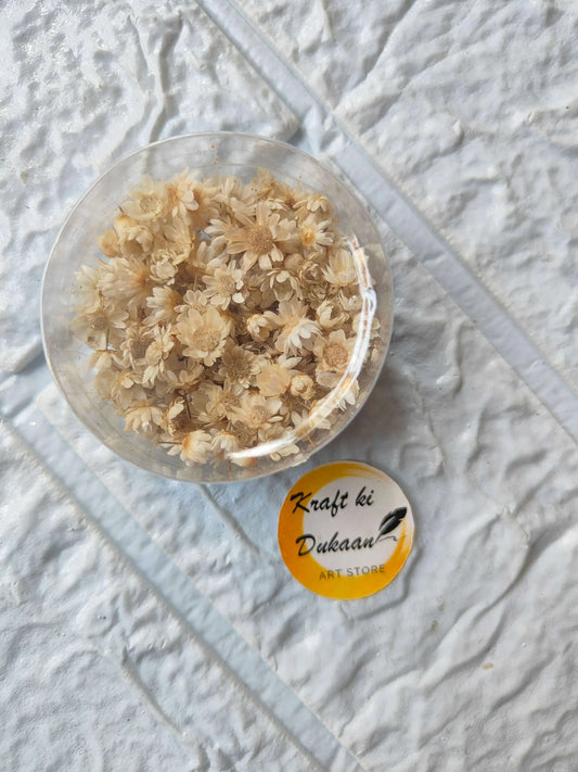kraft-ki-dukaan-mini-dried-flower-box-for-resin-art-beige