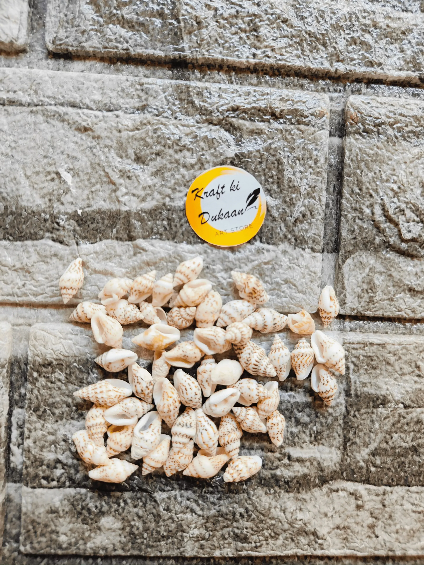 Sea Shell 100GM A8: small spiral sea shells, mixed beige and cream.