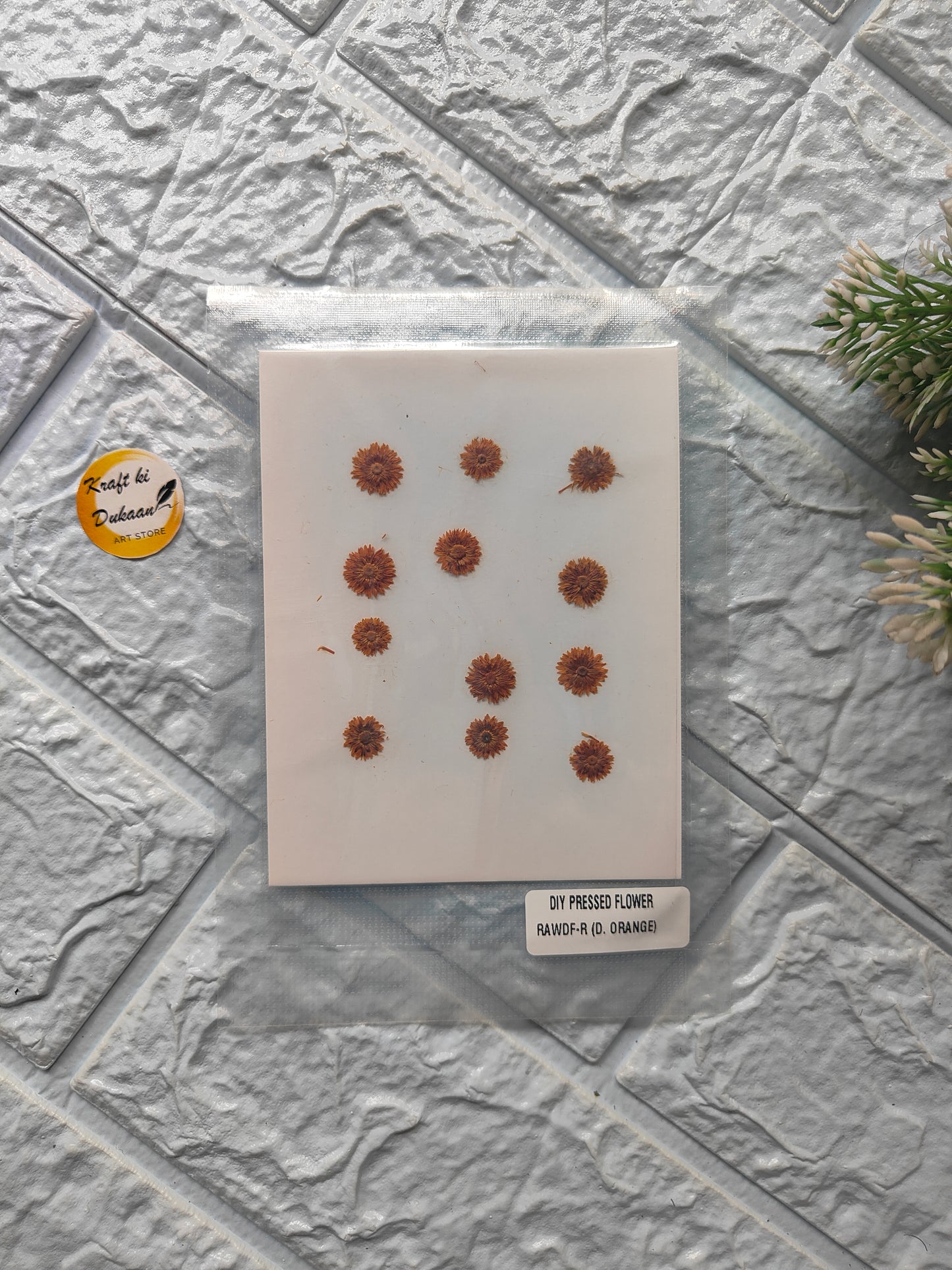 Mini pressed flower sheet featuring delicate dried flowers for DIY crafts and decorations