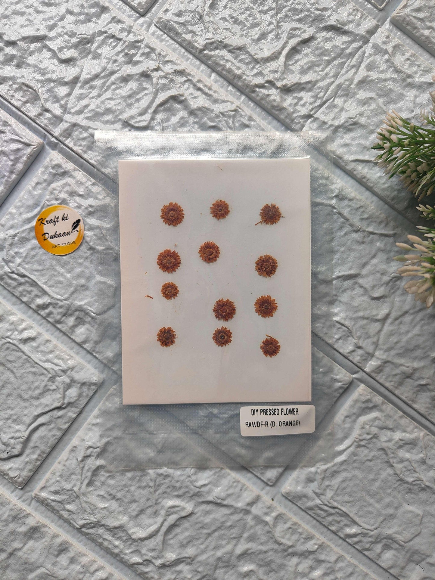 Mini pressed flower sheet con mini flores naranjas en cartulina blanca