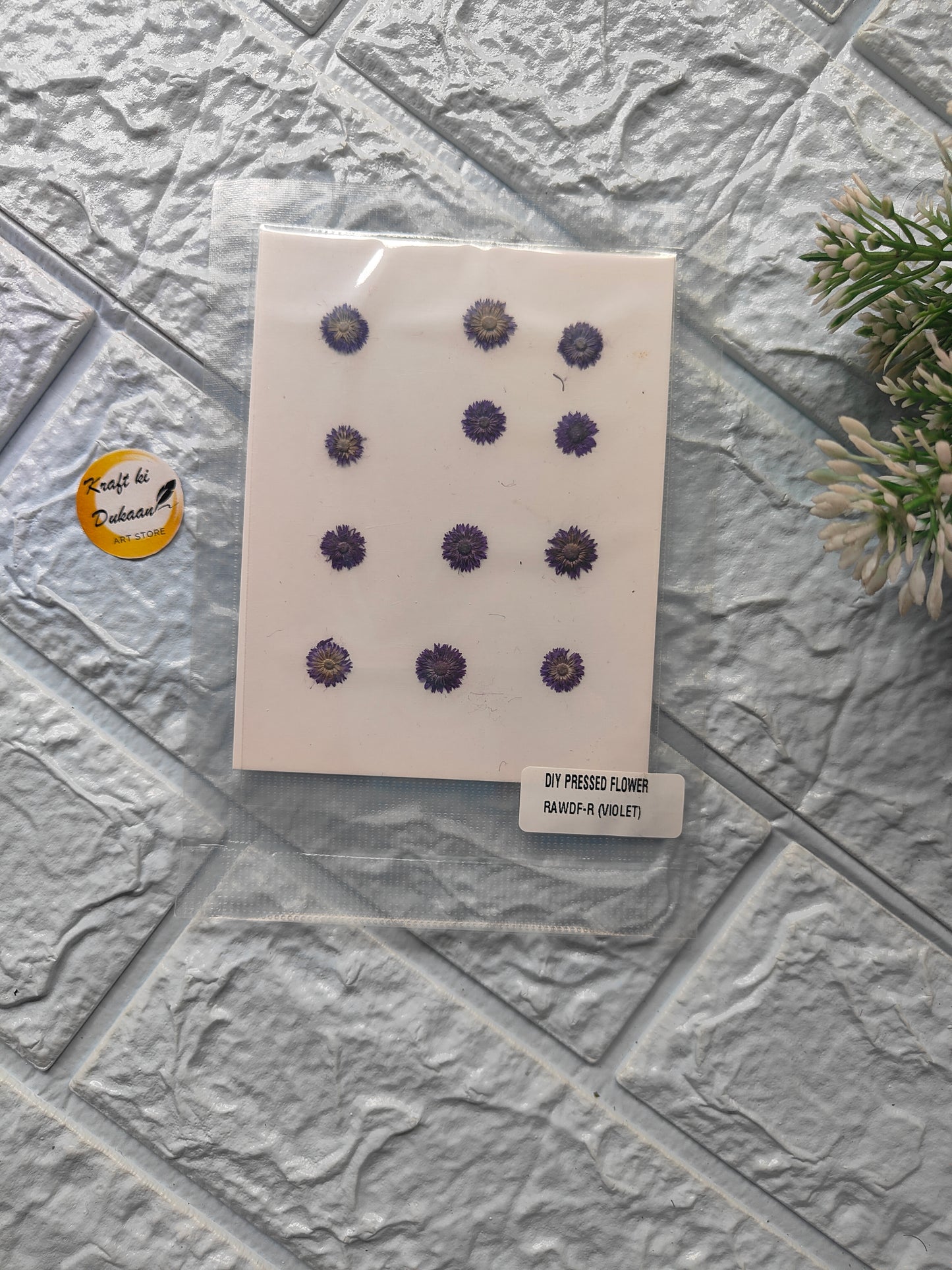 Mini pressed flower sheet featuring violet flowers on a clear background for crafting and DIY projects