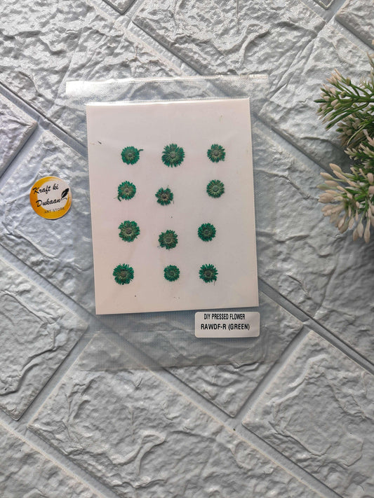 Mini pressed flower sheet con mini flores verdes en cartulina blanca