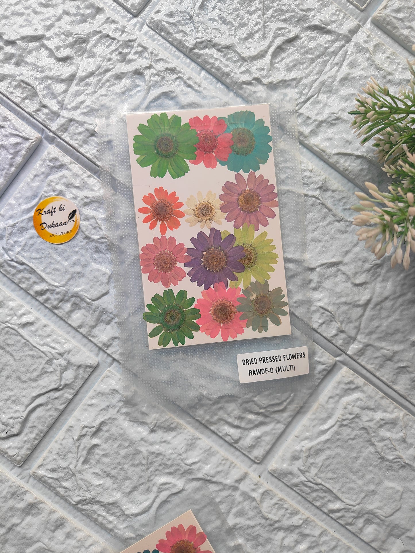 Pack of multi-color pressed flowers arranged on a decorative background for crafting and artistic projects