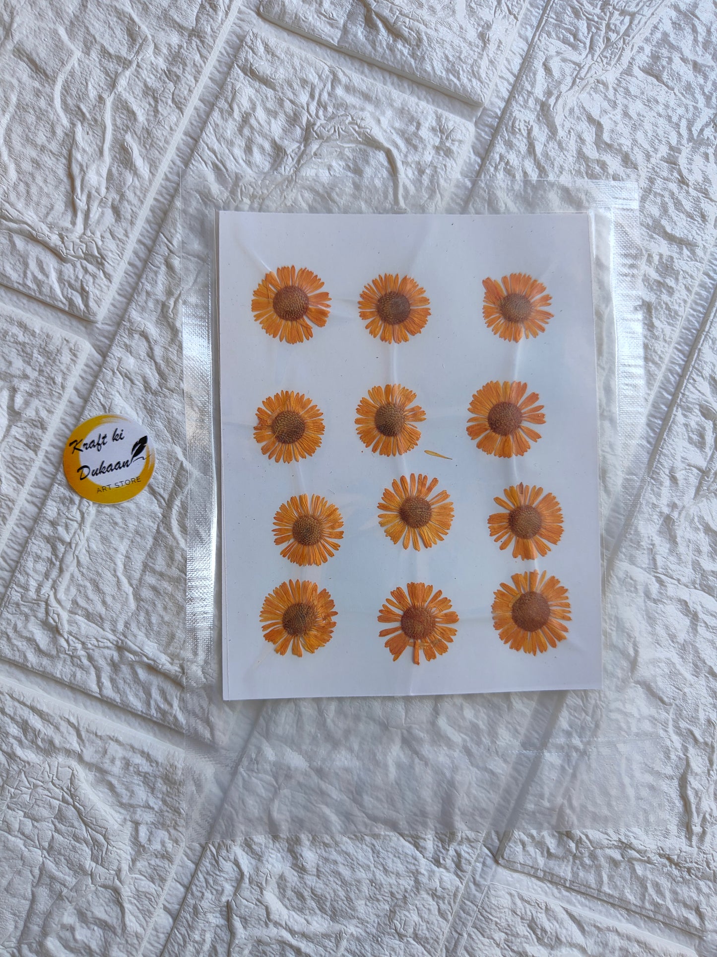 Pressed chrysanthemum flowers arranged on a sheet for decoration or craft projects
