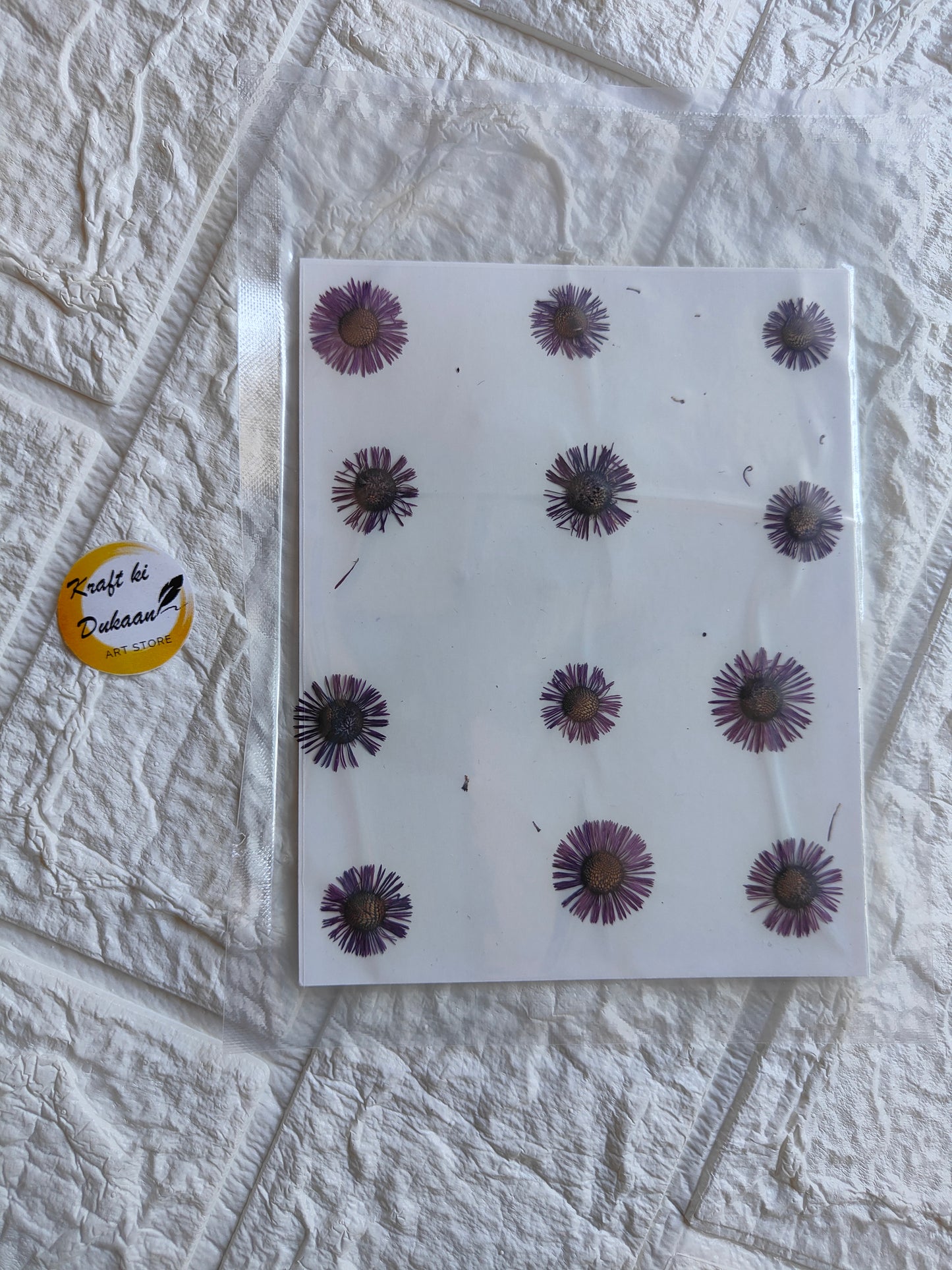 Pressed chrysanthemum flowers arranged beautifully on a transparent backing sheet by Kraft ki Dukaan
