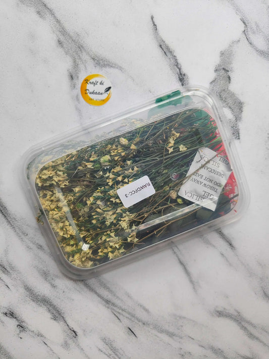 pressed-dry-flower-box-for-resin-art-white-dried-flowers