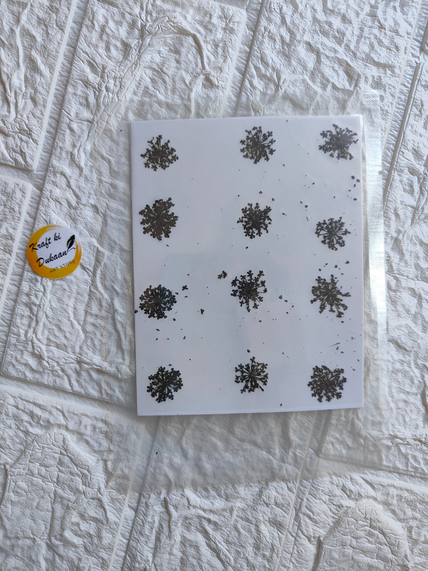 Pressed flower art supplies with various floral designs on a clean white background