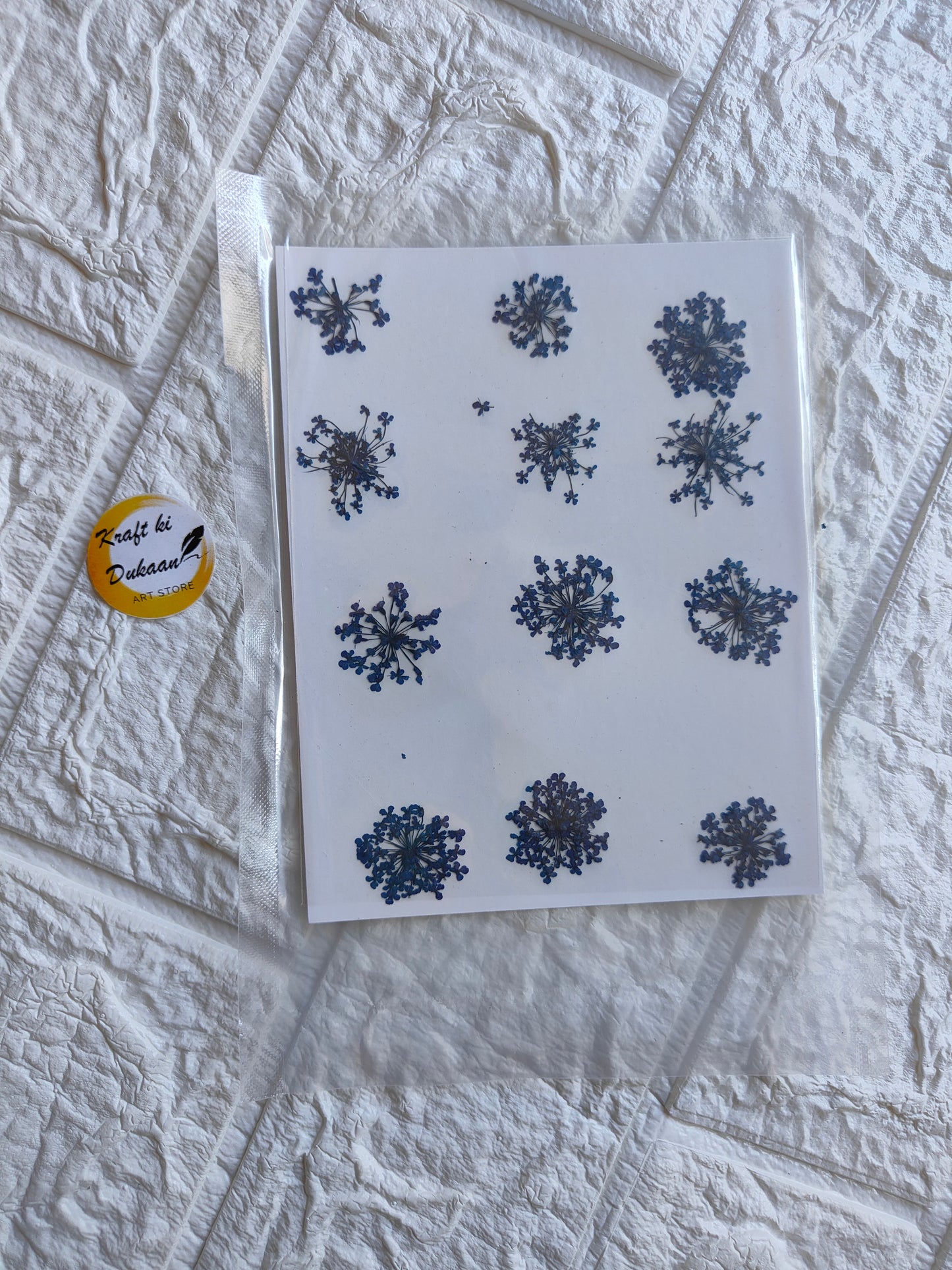 Pressed flower art supplies featuring various dried flowers on a cardstock sheet