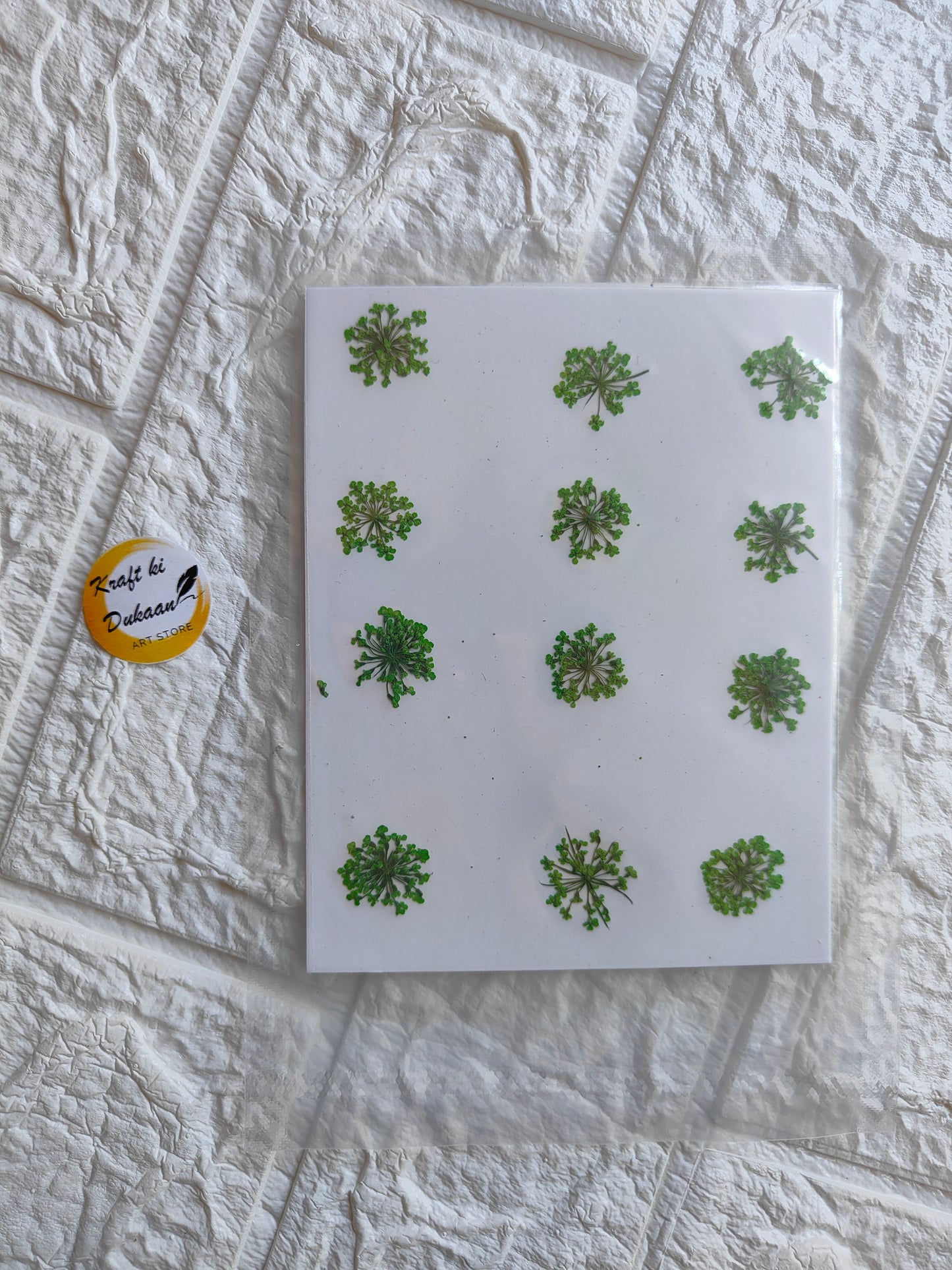 Pressed flower art supplies featuring dried green leaves arranged on a white backing