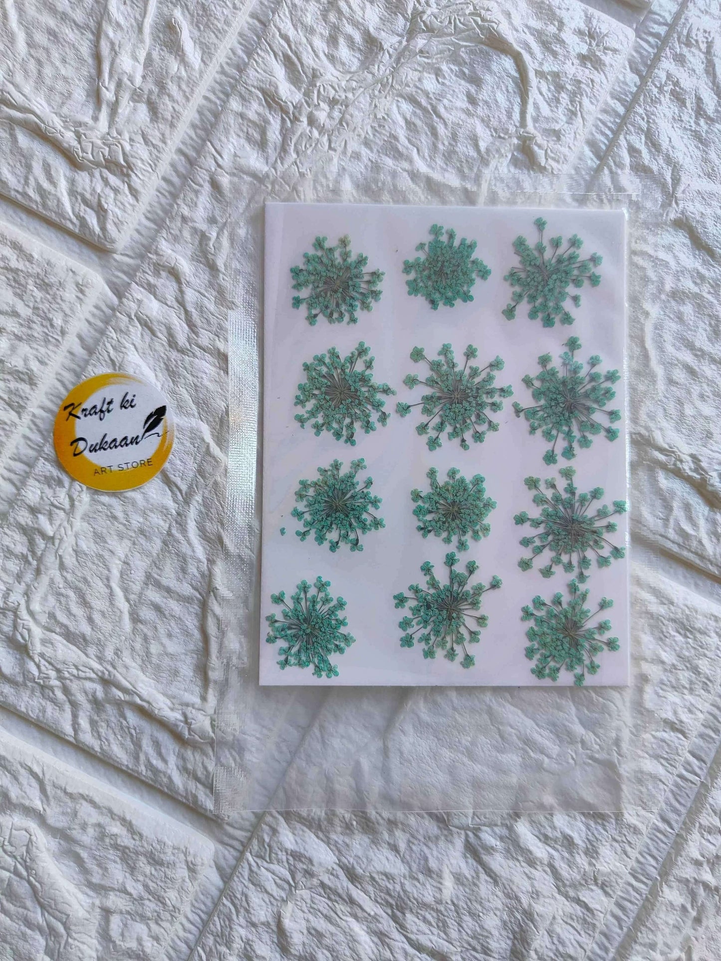 pressed-flower-art-supplies-green-dry-flowers