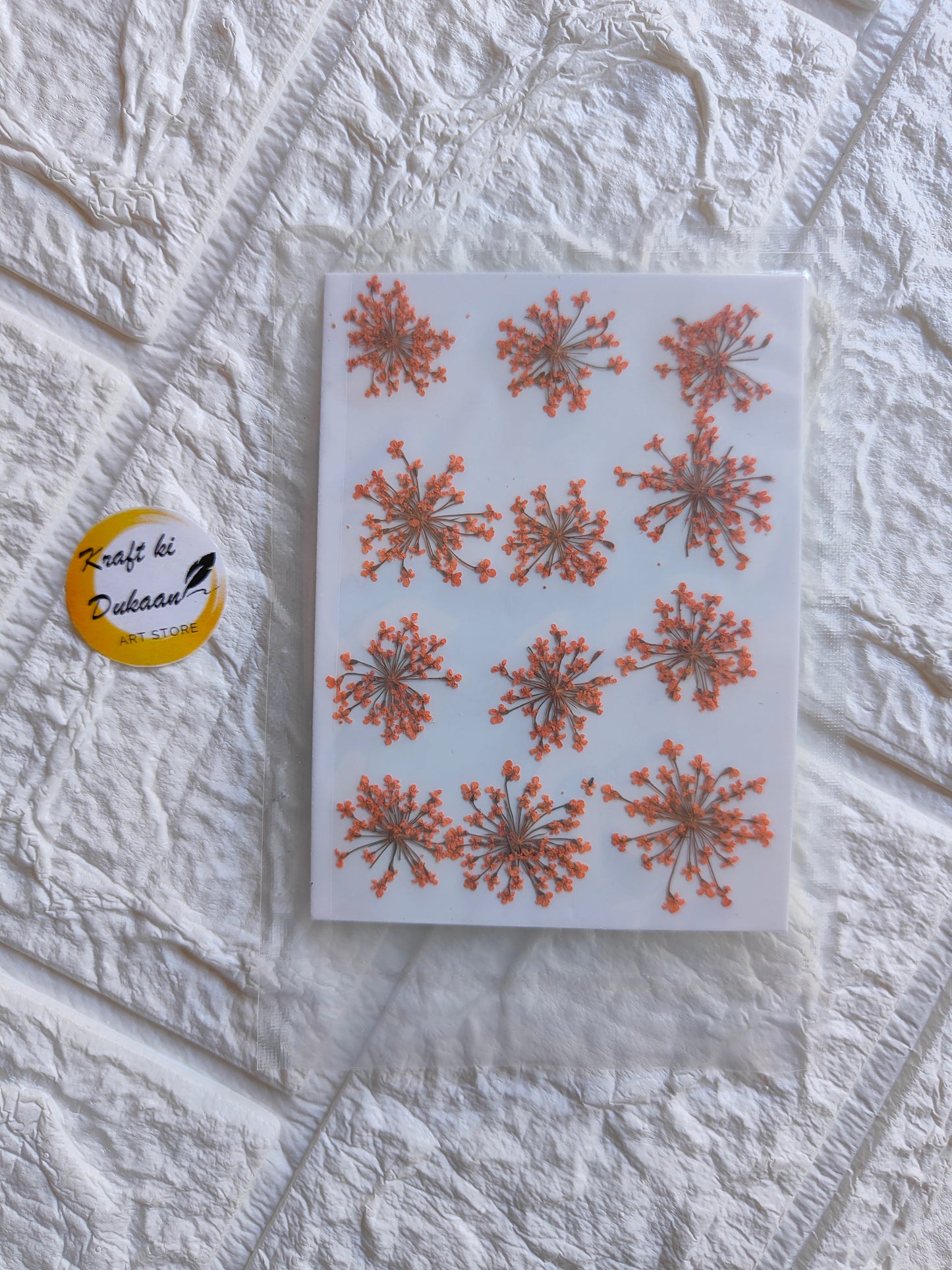 Pressed flower art supplies showcasing orange floral designs on a clear background