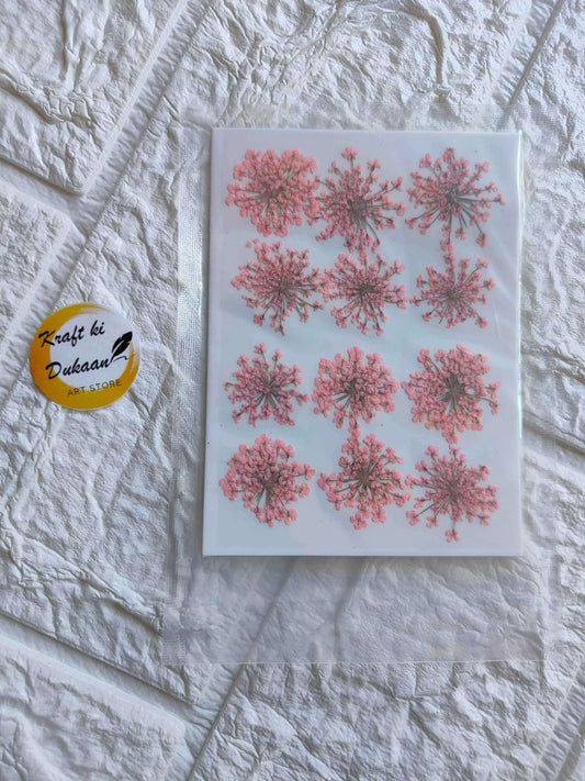 pressed-flower-art-supplies-pink-dried-flowers