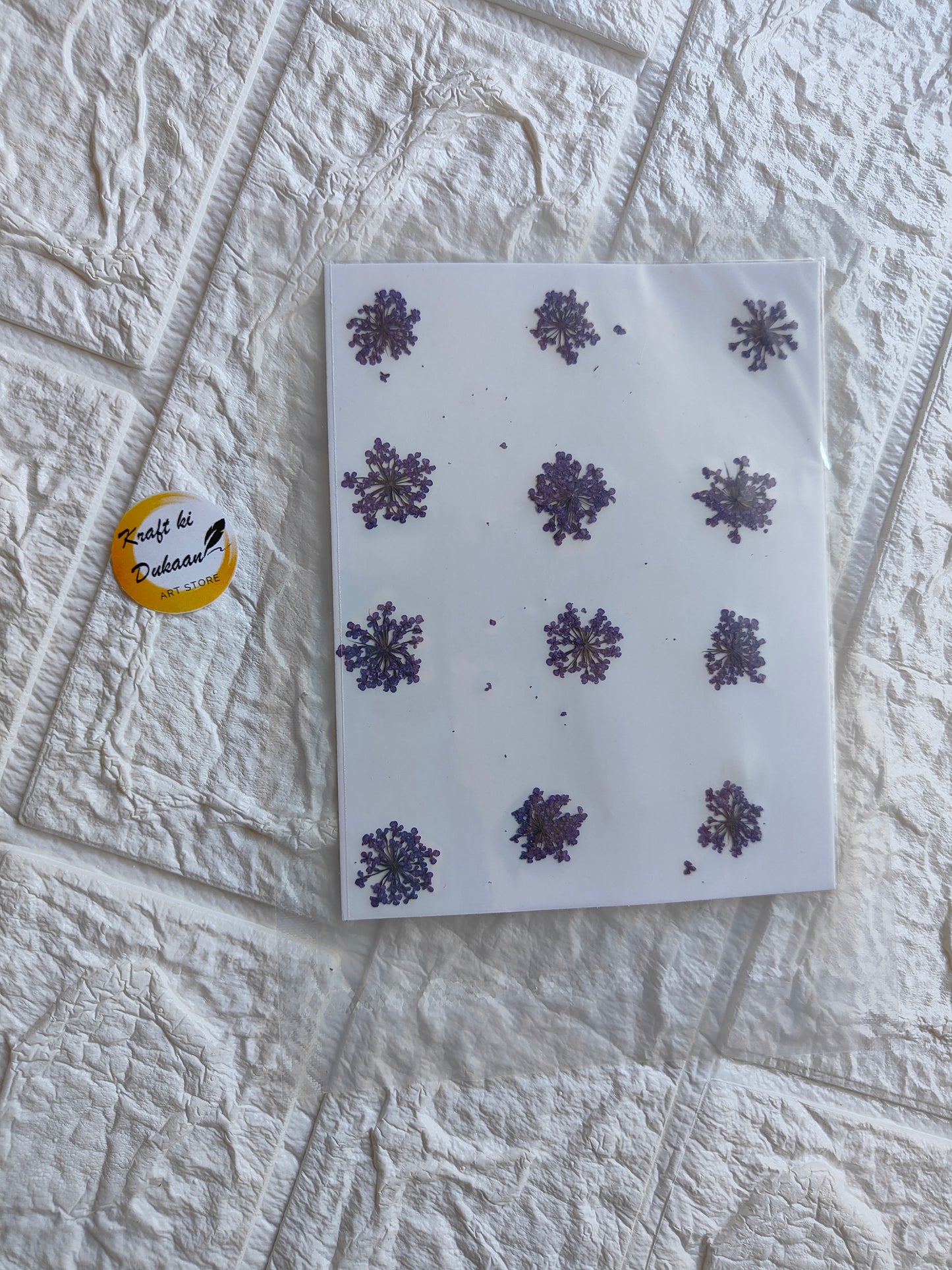 Pressed flower art supplies featuring dried purple flowers on a clear page by Kraft ki Dukaan