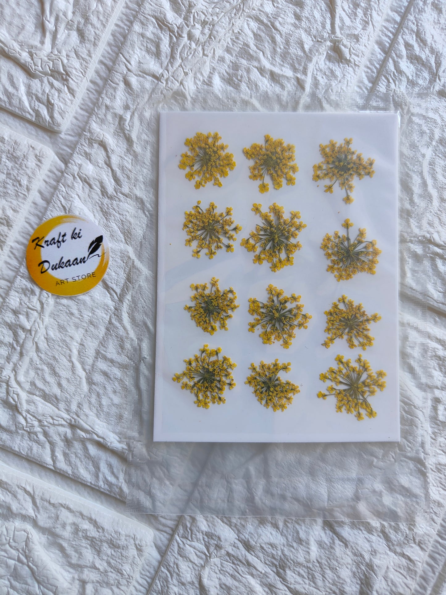 Pressed flower art supplies featuring vibrant yellow flowers arranged on a white backing
