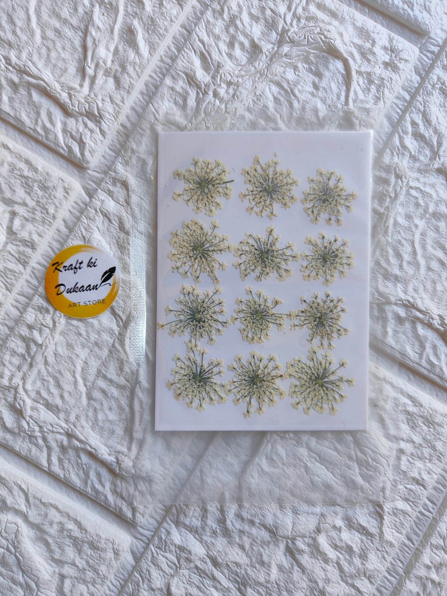 Kraft ki Dukaan pressed flower art supplies arranged on a textured background showing delicate floral designs