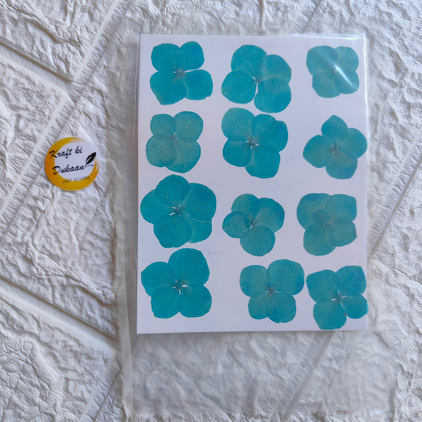 Pressed flower sheet for crafts featuring vibrant blue flowers arranged on a white background