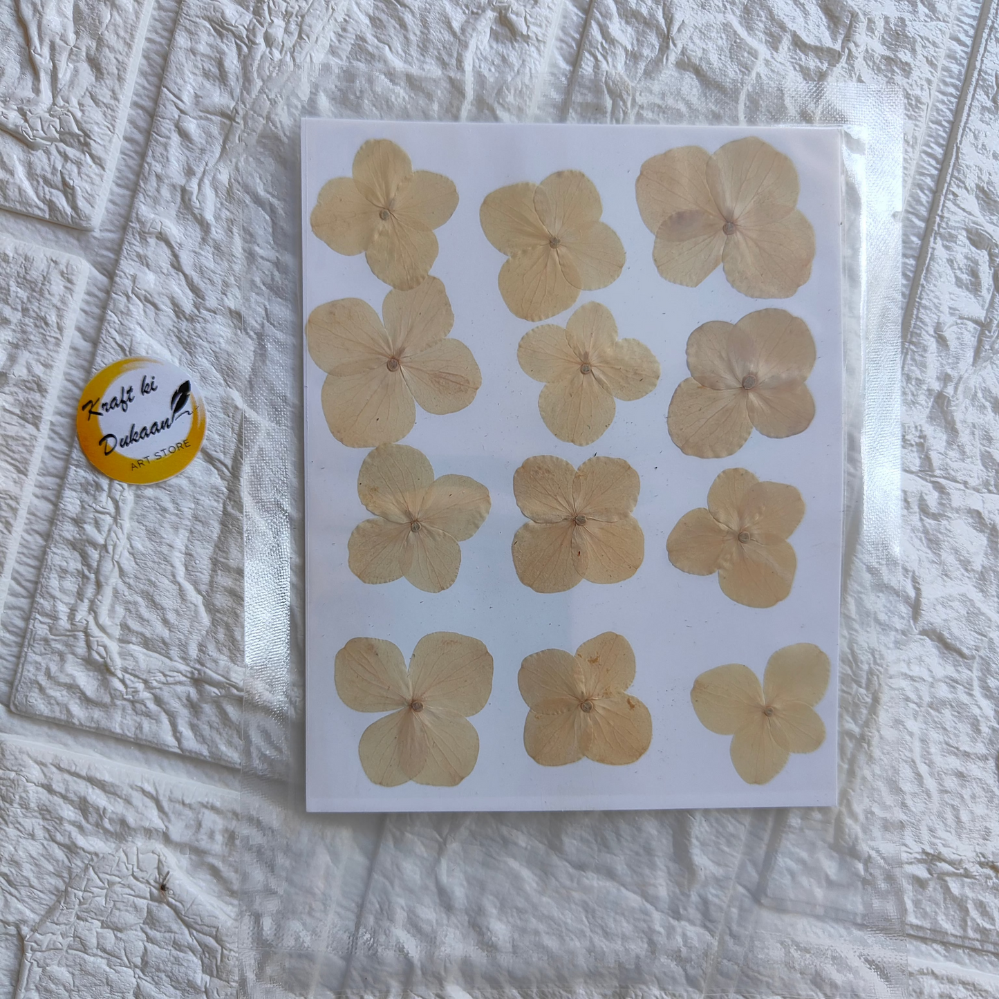 Pressed flower sheet for crafts featuring delicate dried flowers arranged on a white background
