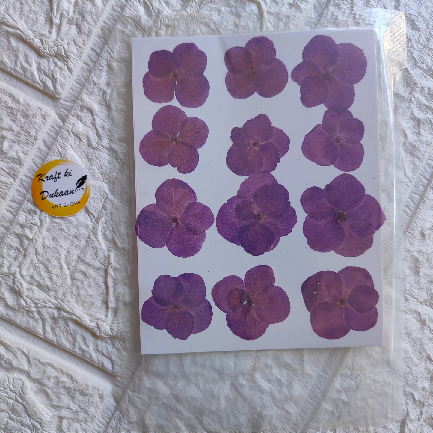 Pressed flower sheet for crafts featuring vibrant purple flowers arranged on a white background