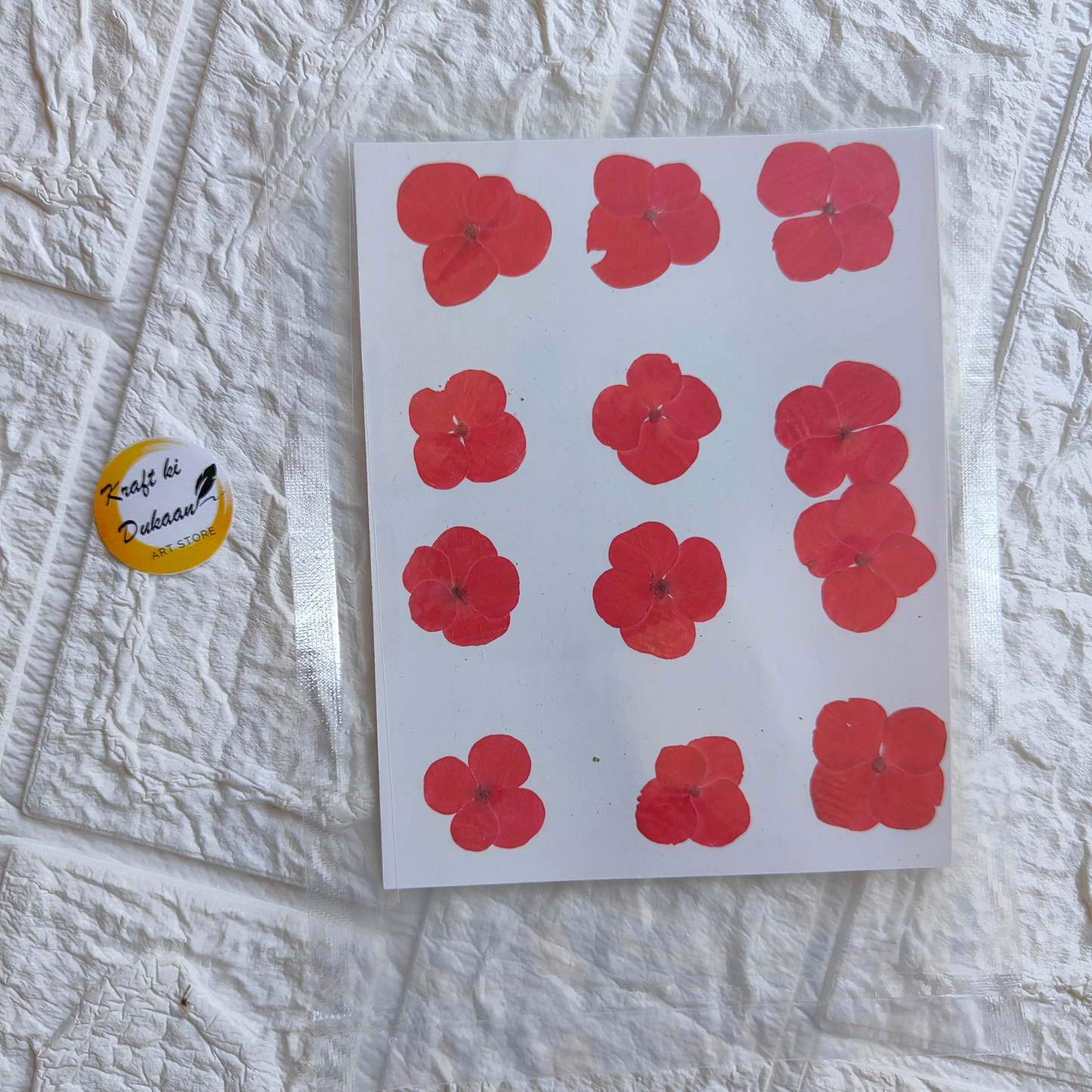 Pressed flower sheet for crafts featuring vibrant red flowers on a white background