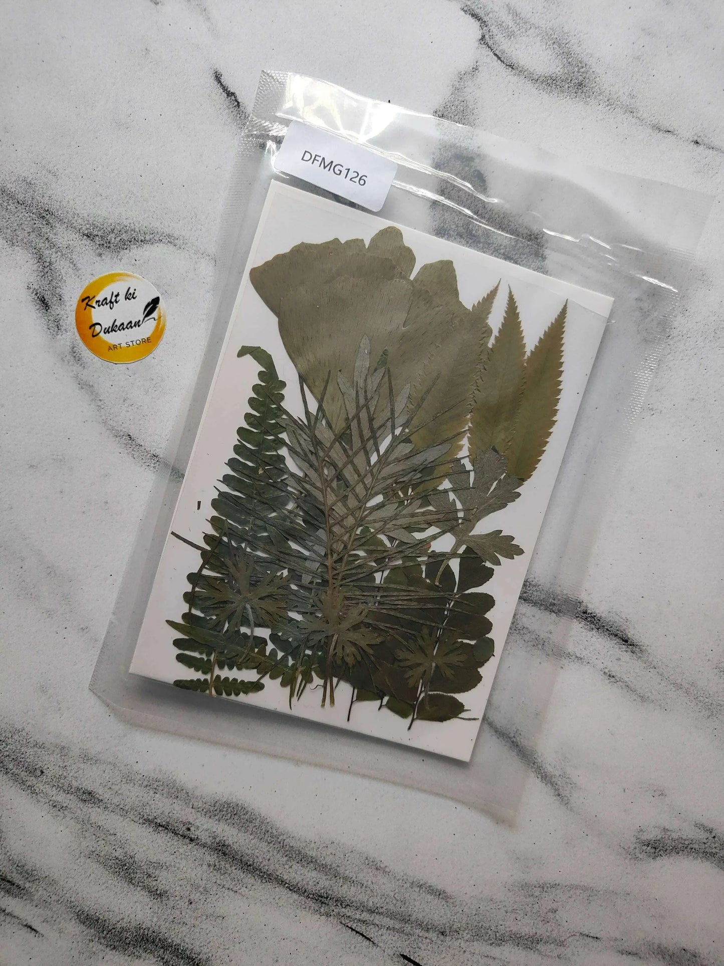 Pressed Flower Sheet E1: pressed green leaves and flowers on sheet in clear sleeve