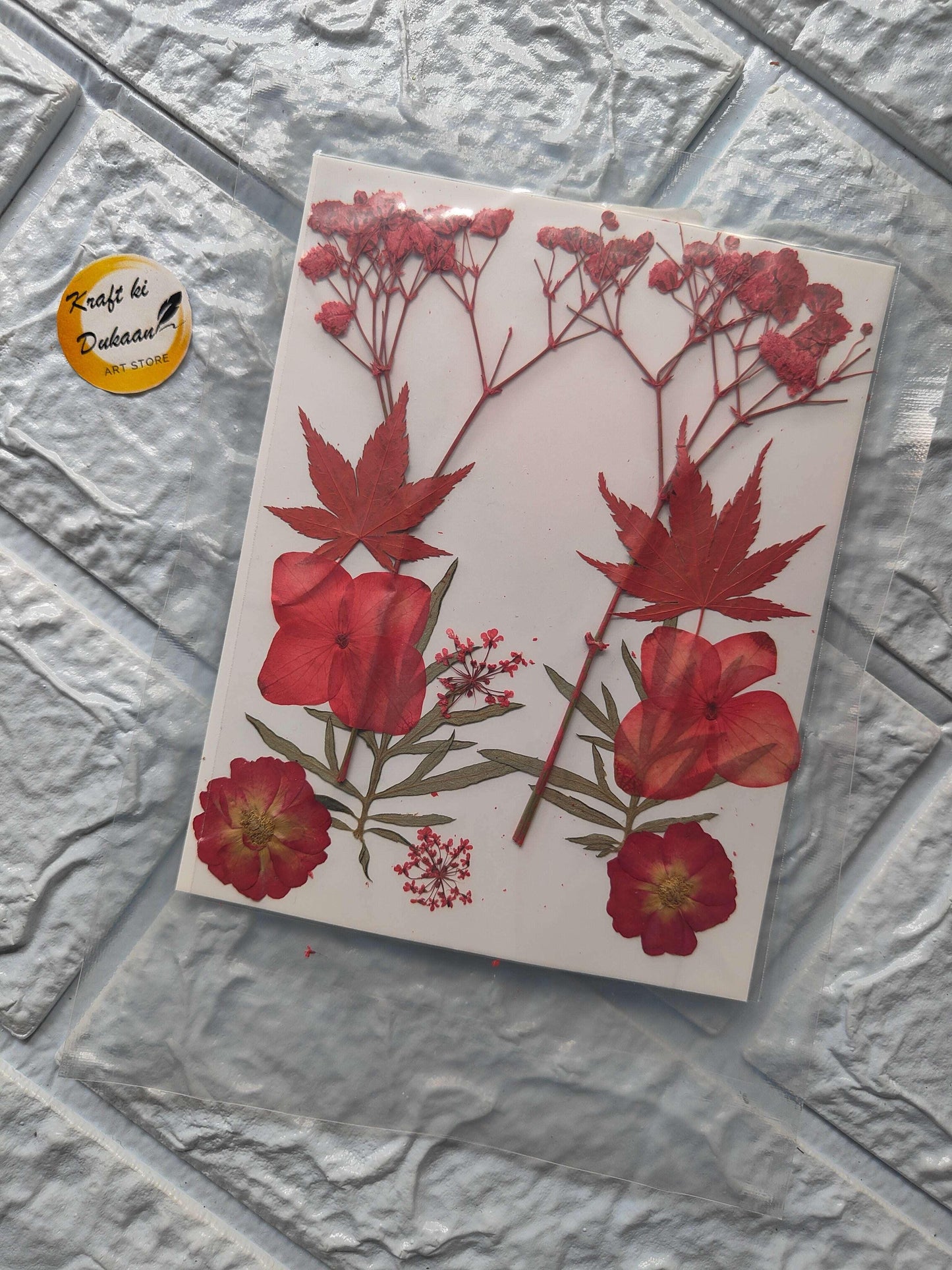 pressed-flowers-a7-pressed-flower-sheet-red-bloom
