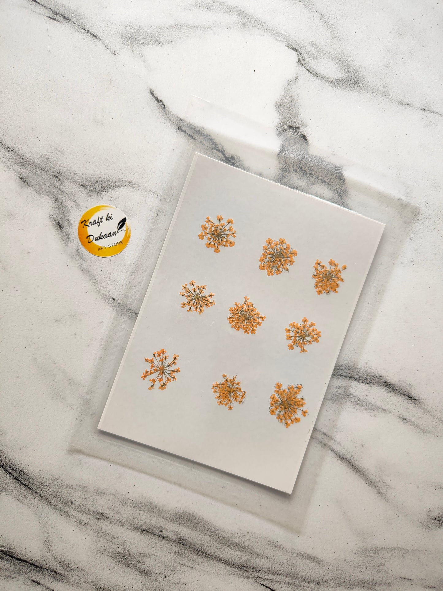 Queen breath dried flowers craft supplies arranged on a clear sheet for DIY projects