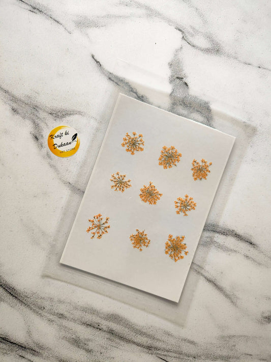 queen-breath-dried-flowers-craft-supplies-orange-patterns
