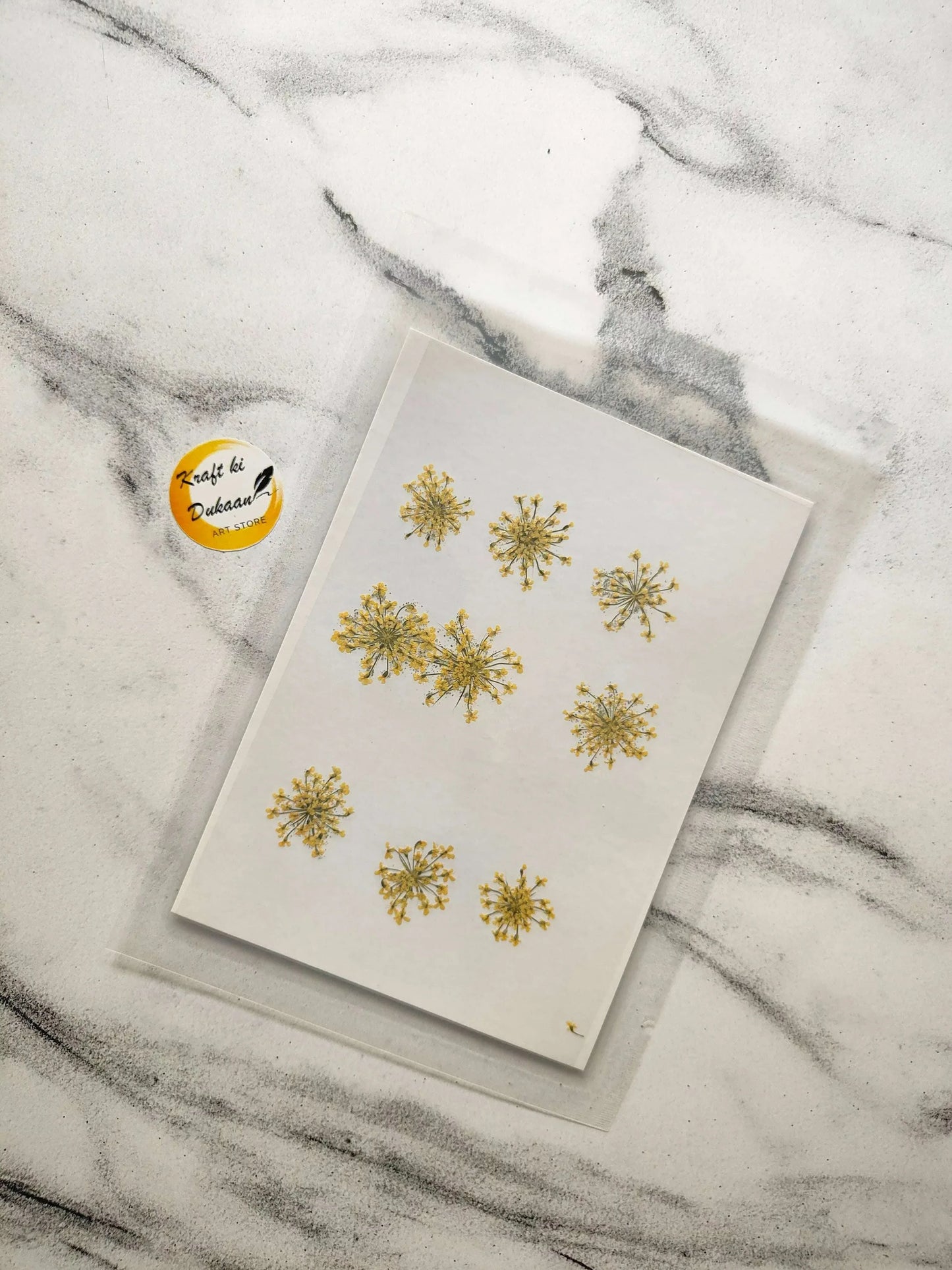 Pressed Flower 9PC in Yellow: light gold dried blossoms on white card.