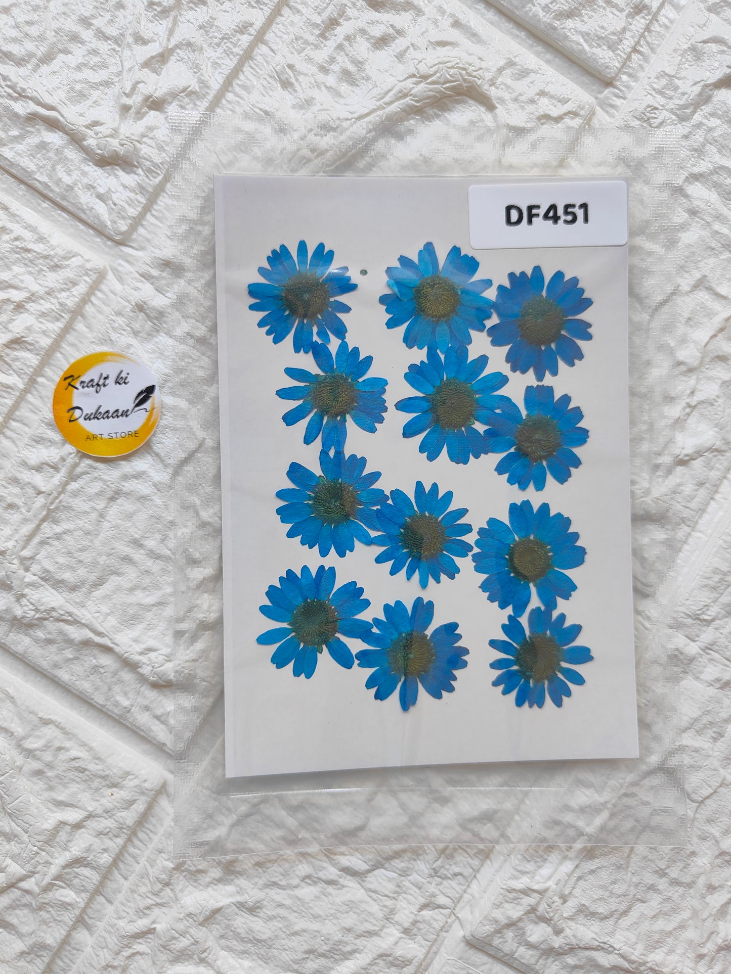 Real daisy flower sheets featuring vibrant blue flowers on a clear background