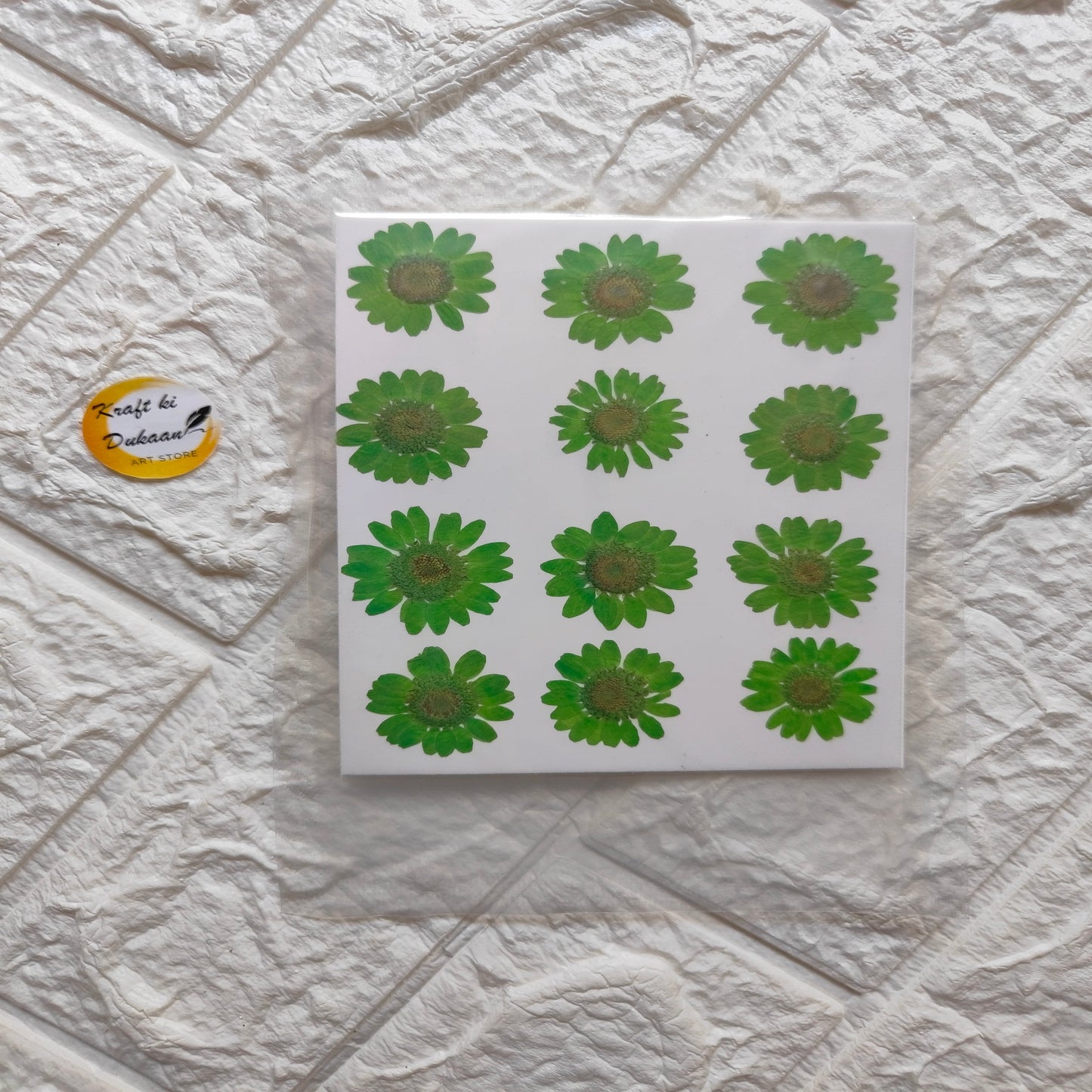 Pack of real daisy flower sheets featuring vibrant green daisy designs on a white background