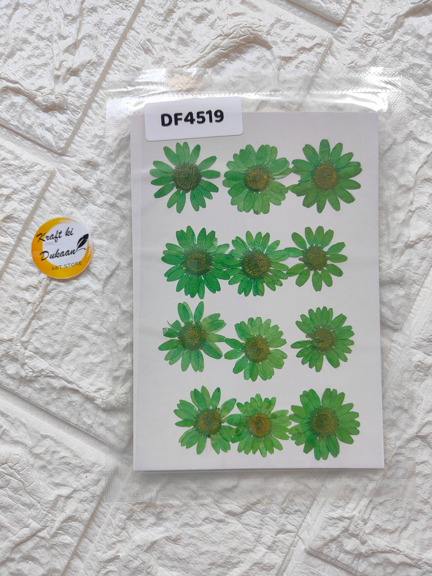 Craft Kit with real daisy flower sheets in vibrant green for creative projects and decorations