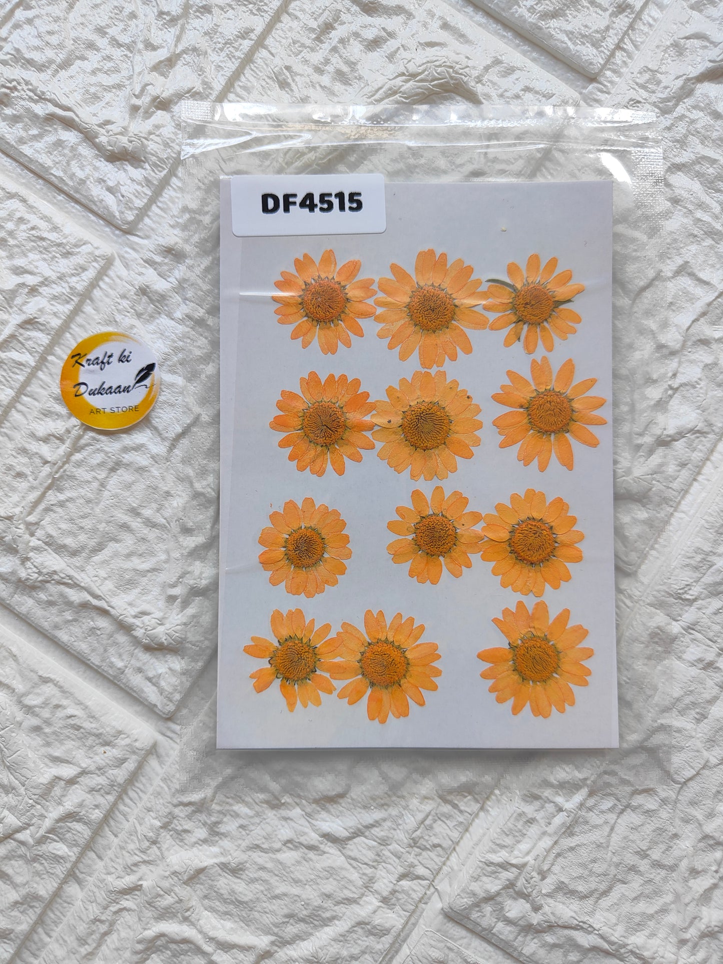 Real daisy flower sheets featuring multiple vibrant orange daisy designs for crafting and decoration